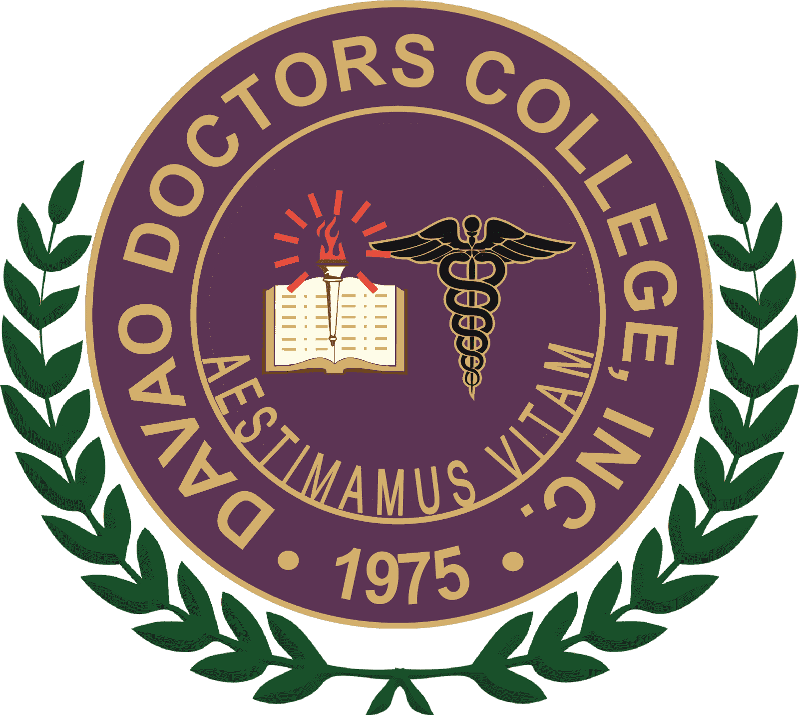 Quipper LMS User Davao Doctors College